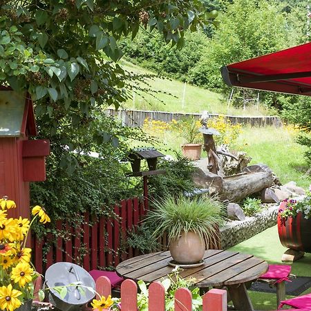 Gite Chez Mimie Breitenbach-Haut-Rhin Exteriér fotografie