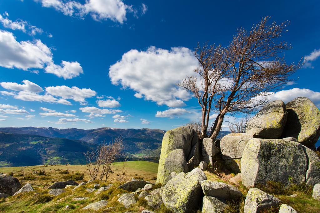 Gite Chez Mimie Breitenbach-Haut-Rhin Exteriér fotografie