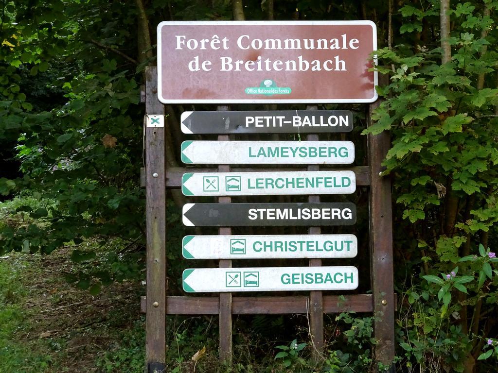 Gite Chez Mimie Breitenbach-Haut-Rhin Exteriér fotografie