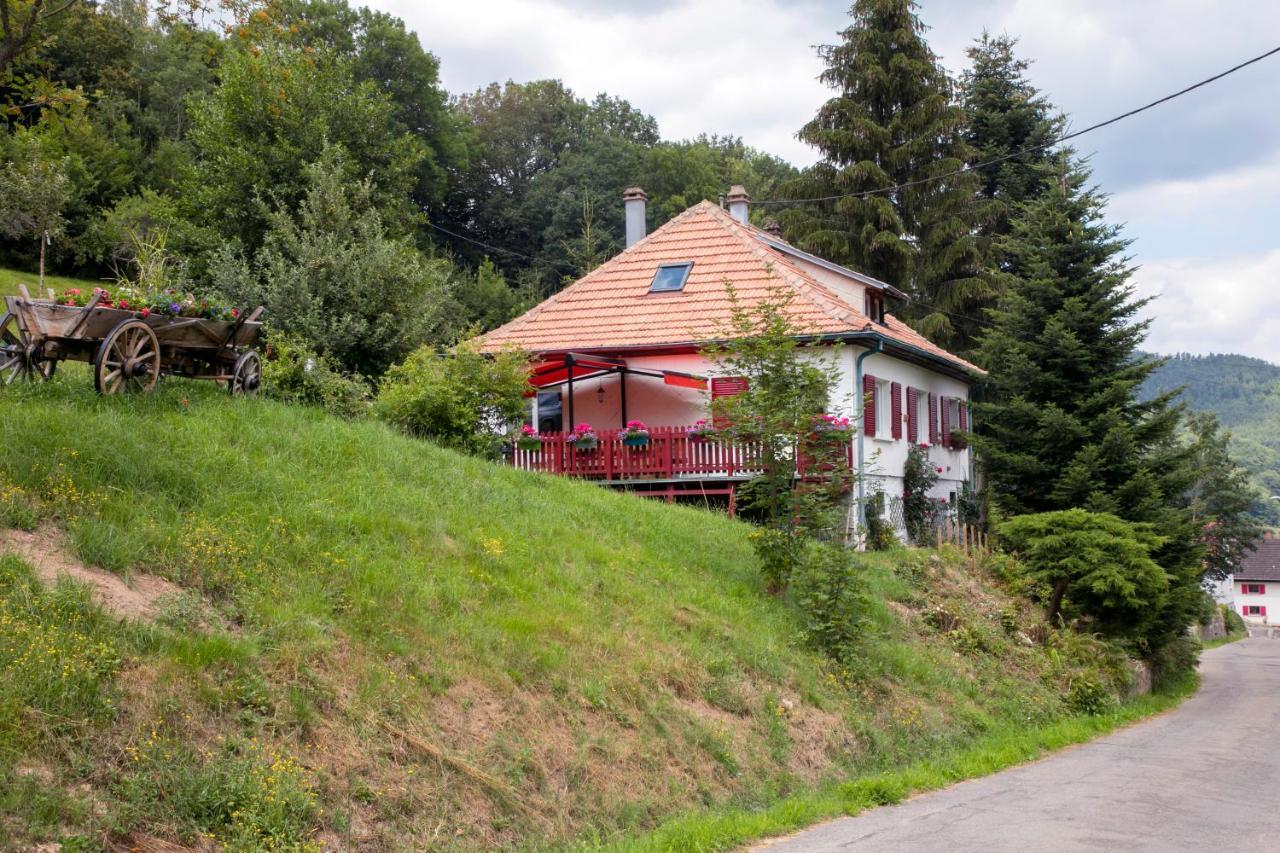 Gite Chez Mimie Breitenbach-Haut-Rhin Exteriér fotografie