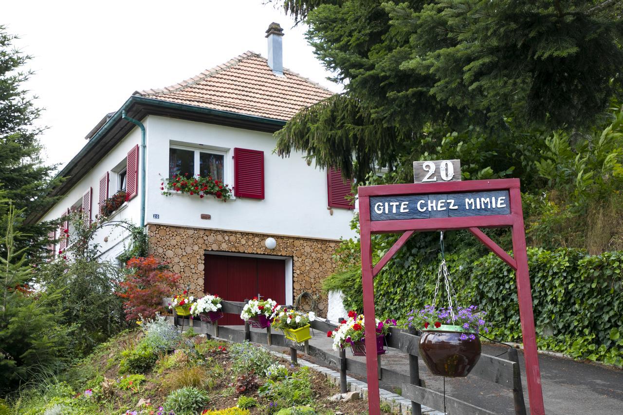 Gite Chez Mimie Breitenbach-Haut-Rhin Exteriér fotografie