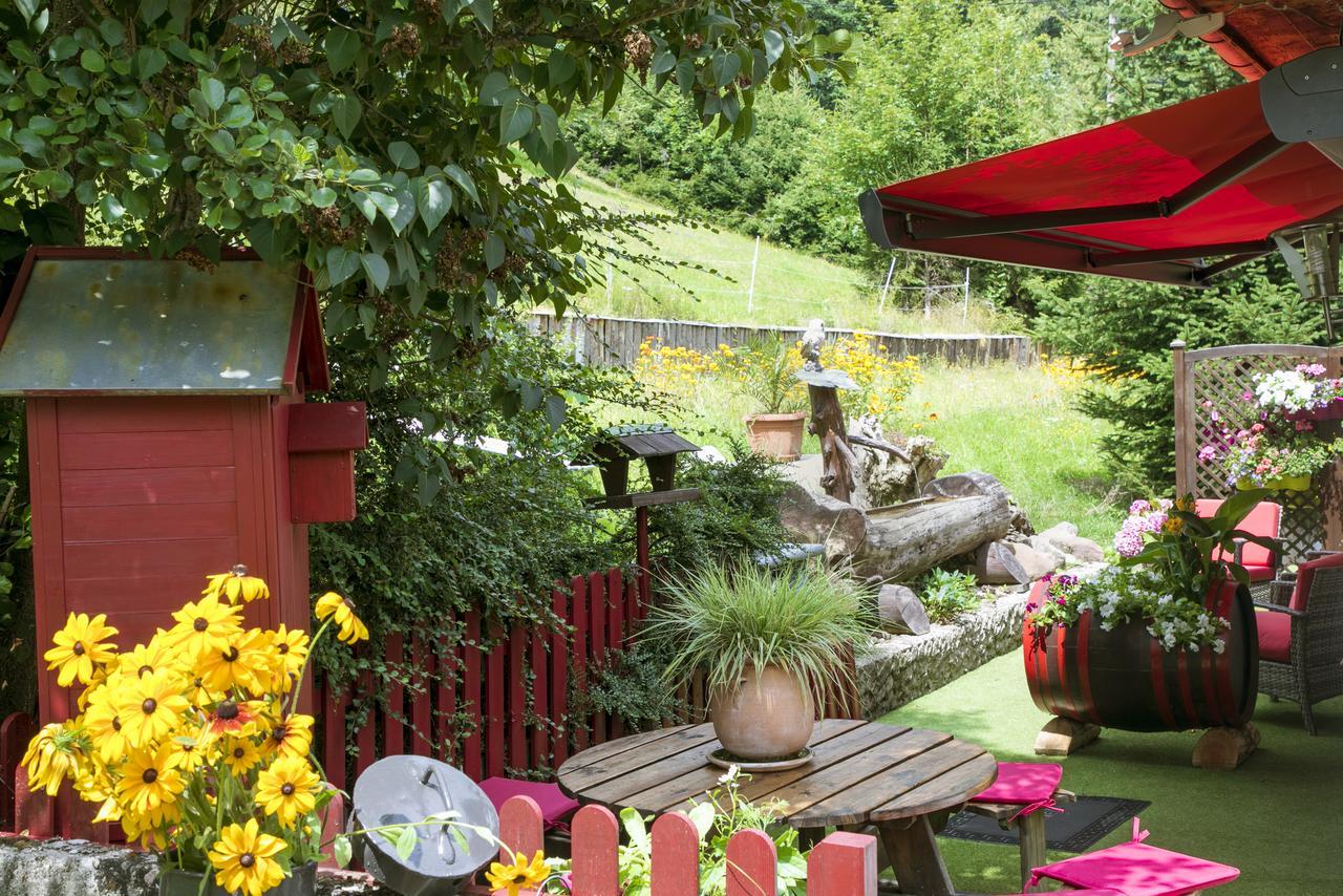 Gite Chez Mimie Breitenbach-Haut-Rhin Exteriér fotografie