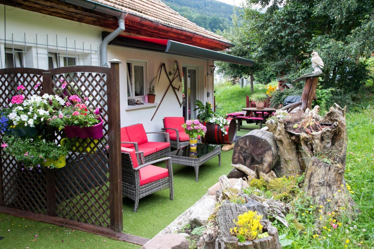 Gite Chez Mimie Breitenbach-Haut-Rhin Exteriér fotografie